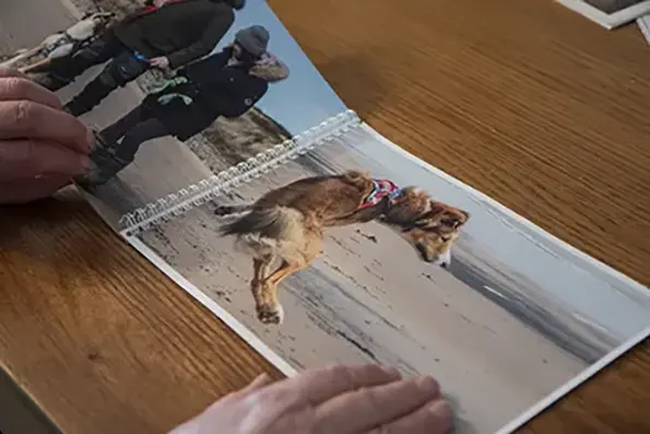 Dog Photography photo album
